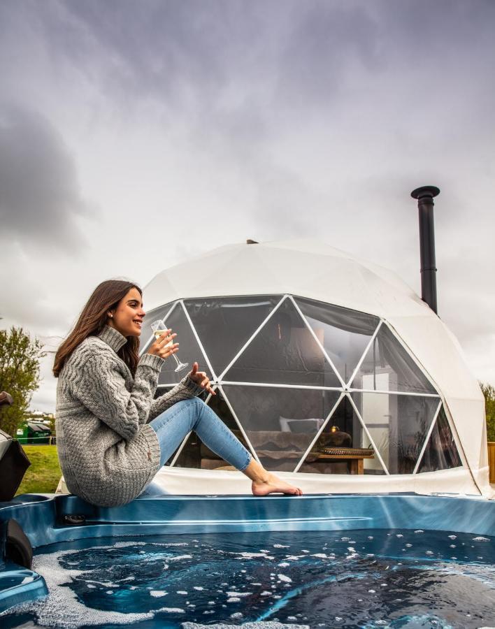 Reykjavik Domes Hotell Exteriör bild