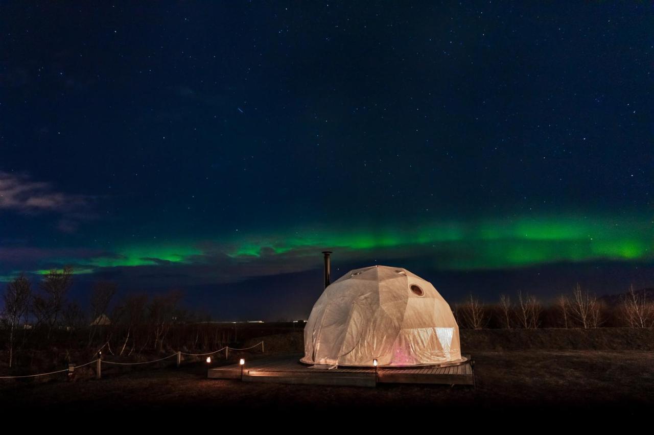 Reykjavik Domes Hotell Exteriör bild