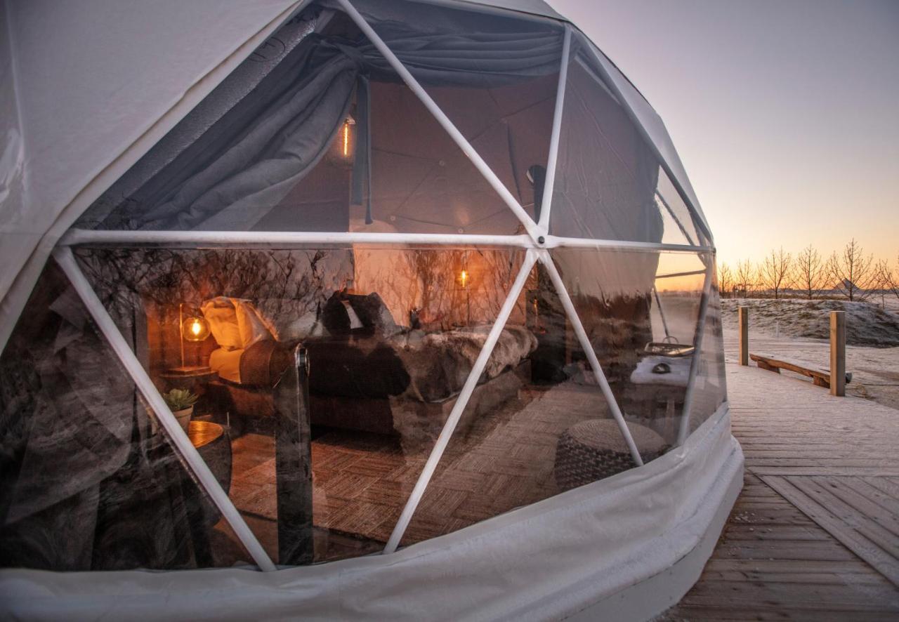 Reykjavik Domes Hotell Exteriör bild