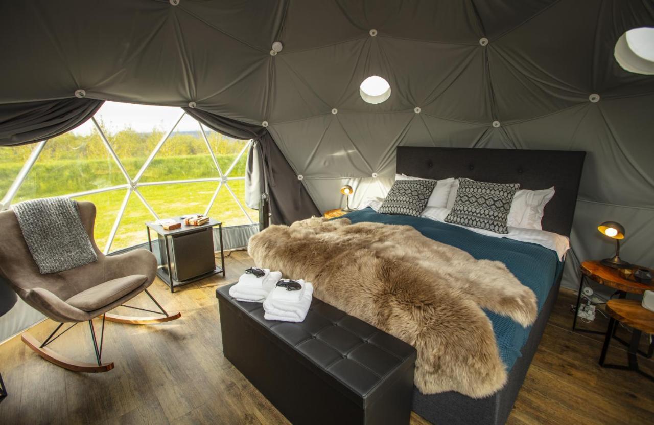Reykjavik Domes Hotell Exteriör bild